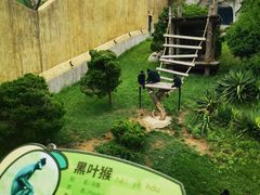 -大连森林动物园