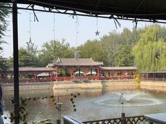 -尚庄度假村·庭台树下·户外烧烤·团建CS·轰趴营地(上庄水库店)