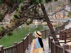 -沂蒙山旅游区云蒙景区(蒙山国家森林公园)