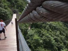 -武陵山森林公园