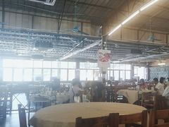 -百利鸽王(紫薇路店)