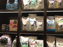-宠爱国际动物医院·消化内科·心肾内科·ISFM猫友好(望京店)