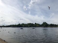 -海德公园