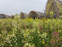 -中国天府农业博览园