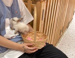 -乐肤皮肤管理中心