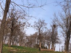 -济南野生动物世界