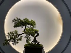 -席仁堂推拿按摩脊柱调理(世纪科贸大厦店)