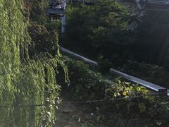 -富斯特索道