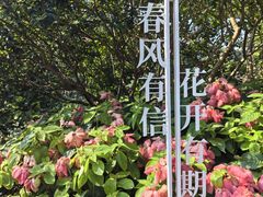 -云溪植物园