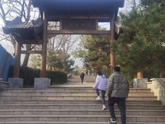 -阳台山自然风景区