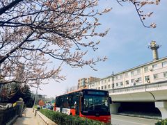 -西尖山公园