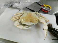 -盒马渔市餐厅