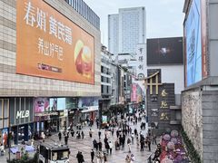 -蜀大侠火锅(寰球文化地标·总府店)