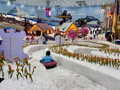 -广州热雪奇迹