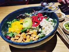 芥子酱羽翼甘蓝沙拉-小大董·烤鸭(五棵松店)