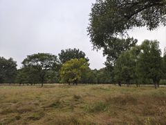 -承德避暑山庄景区