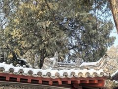 -兴教寺