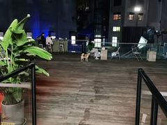 -CEMENT·coffee bar (凤凰创意园店)