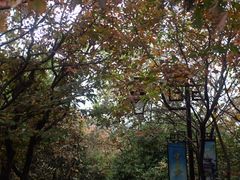 -杭州半山国家森林公园