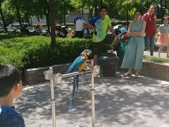 -那家小馆•北京菜•烤鸭(中关村店)