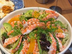 -O'eat Blossom&Pelican(深圳首店)