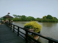 -大湾区中央湿地公园