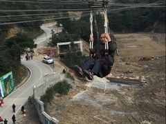 -梦幻奥陶纪景区