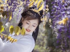 -龙口南山旅游景区