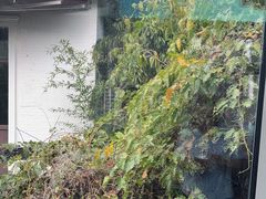 -慢丽江·云南野生菌土鸡锅(西山店)