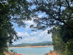 -广州市流溪河国家森林公园