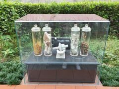 -广州神农草堂中医药博物馆