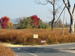 -良渚古城遗址公园
