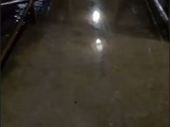 -水上人家河鲜