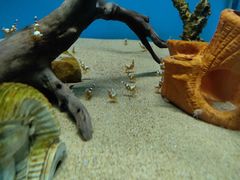 -大连圣亚海洋世界