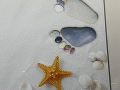 -贝壳王国博物馆