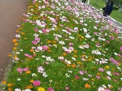 -艾溪湖湿地公园