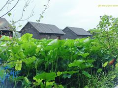 -太湖湾开元名庭大酒店