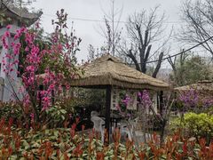 -渭南桃花源民俗文化园