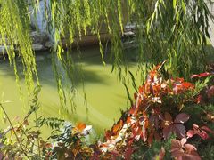 -大兴滨河森林公园