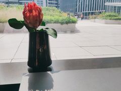 -凤凰湘语·湘粤鲜融(浦东旗舰店)