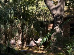 -昆明动物园