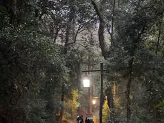 -灵顺寺
