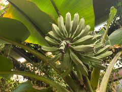 -第五季龙水凤港生态露营农场