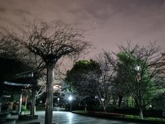 -玉山公园