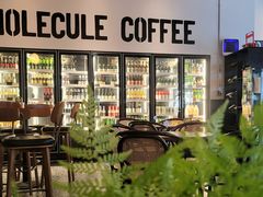 -MOLECULECOFFEE.MANDO 莫勒喝咖啡