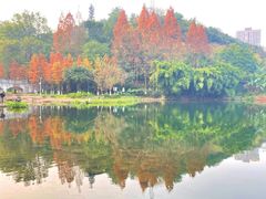 -重庆彩云湖湿地公园