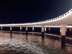 -演武大桥观景平台