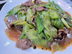 -东鸽皇(奥园·中环广场店)