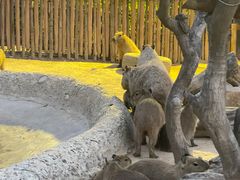 -郑州银基国际旅游度假区