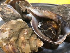 白灼海螺-蚝专家(北滘店)